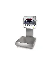 Balanza Rice Lake CW-90B 25LB 12X12.webp