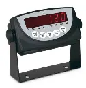 Indicador 120 ricelake.webp