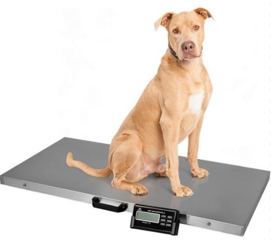 Bascula/Balanza canina 300Kg 55x90cm