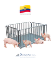 Balanza (Plataforma) Corral Para Pesaje Animal Piara 240x144cm