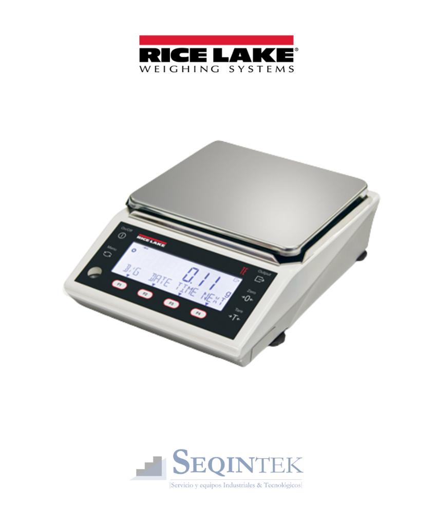 Balanza Precision Rice Lake Serie TE 6200g