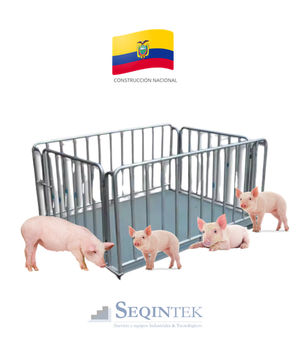 [BGC-01] Balanza Pesaje Animal 240x144cm (Plataforma) Piara